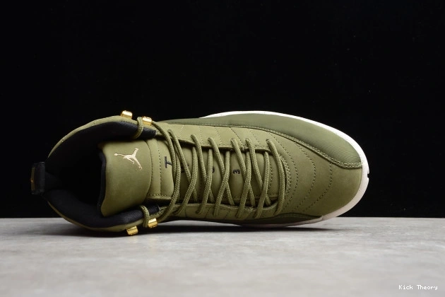 Kicktheory Paul Chris 130690-301 2003 Jordan Air 12 Class of 0715